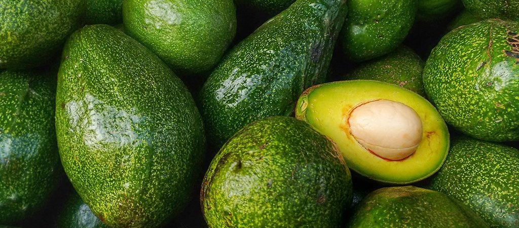 avocado een natuurlijk ingrediënt - Rio Rosa Mosqueta