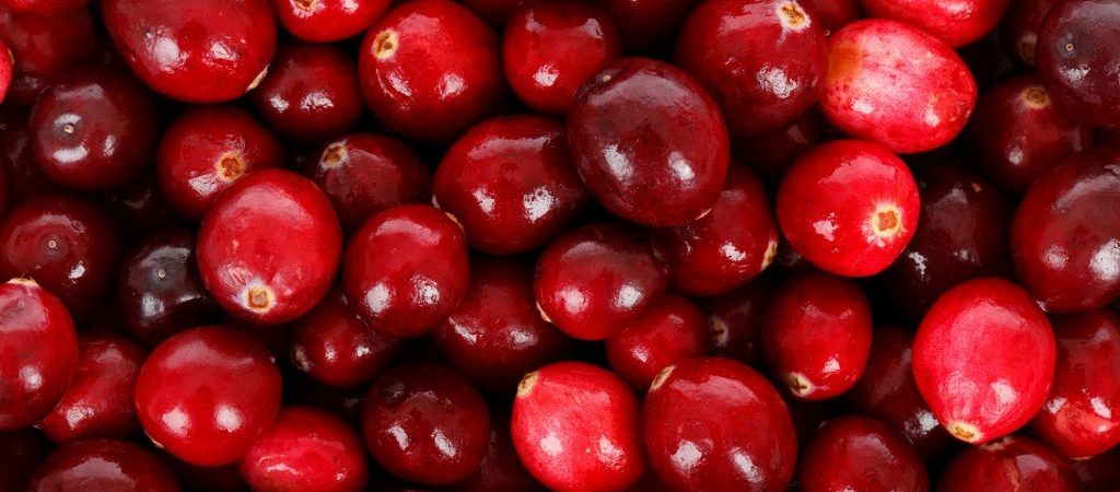 Cranberry olie natuurlijk ingrediënt | Rio Rosa Mosqueta