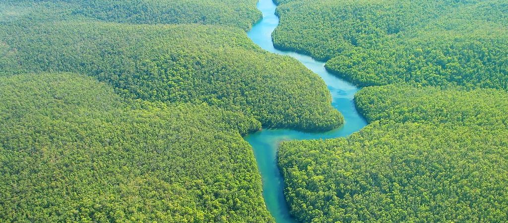 Rio Amazon, kruiden en ingrediënten uit de natuur